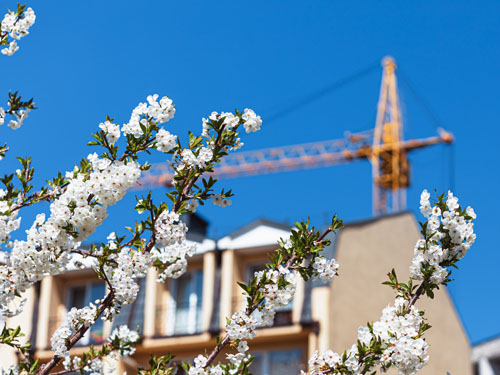 What Are The Benefits Of Building A Home In The Spring?