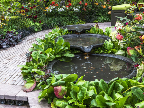 Add a water feature like a fountain or pond for a peaceful atmosphere.