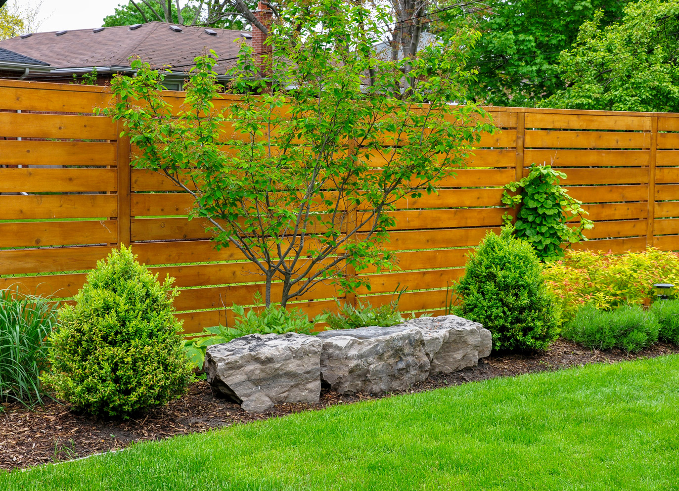 Landscaping and Privacy Considerations